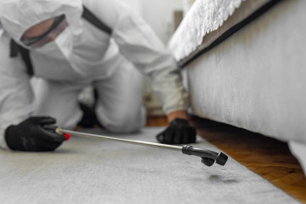 Professional Mosquito Control technician working in Selma, CA