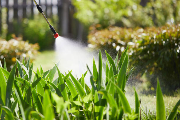 24/7 Emergency Mosquito Control experts in Selma, CA