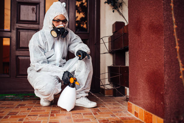 Reliable Mosquito Control contractor in Selma, CA by Nex Pest Control