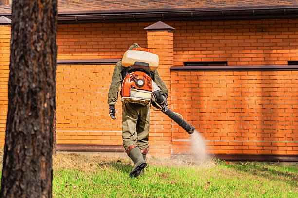 Trusted Bed Bug Control service in Selma, CA - Nex Pest Control
